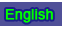 Go to the English Web Page