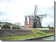 Windmills and flowers Island