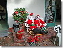 Mr. and Mrs. Father Christmas is basking because it was in December.