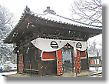 Kitain Temple, Daruma-market with snow
